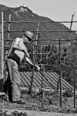 13_Anziano al lavoro